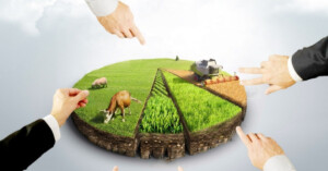 Arsa Satışı Nasıl Yapılır?